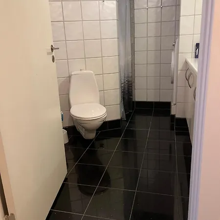 Skon Centralt Beliggende Lejlighed M.Tagterrasse Herning Exterior photo